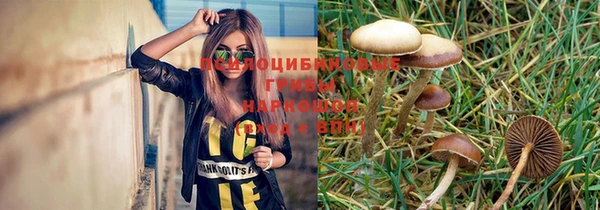 герыч Вяземский