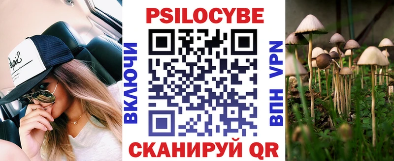 Купить  Катайск  Псилоцибиновые грибы Magic Shrooms 